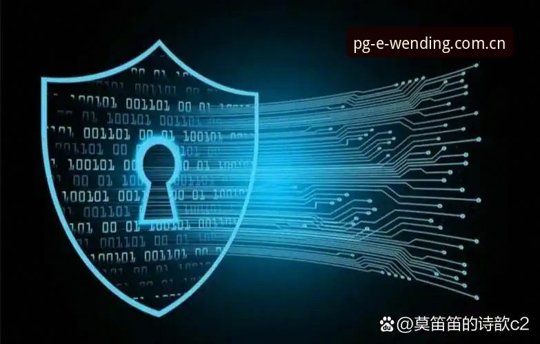 问鼎pg官网实用指南：安全可靠与创新体验的完美融合